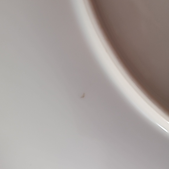 Vintage Floral painted plate porcelain w/ already attached hardware for hanging - Picture 12 of 12